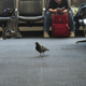 Image for article titled The Worst Airport In America